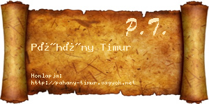 Páhány Timur névjegykártya